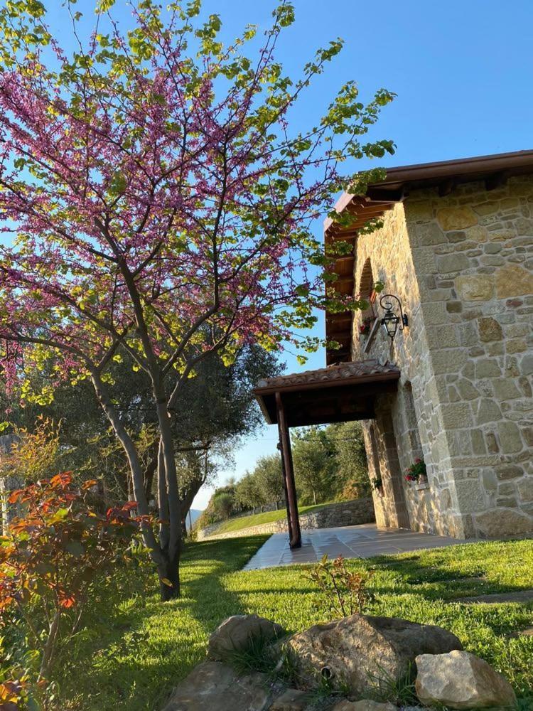 Bujtina Salko Villa Mucaj Dış mekan fotoğraf