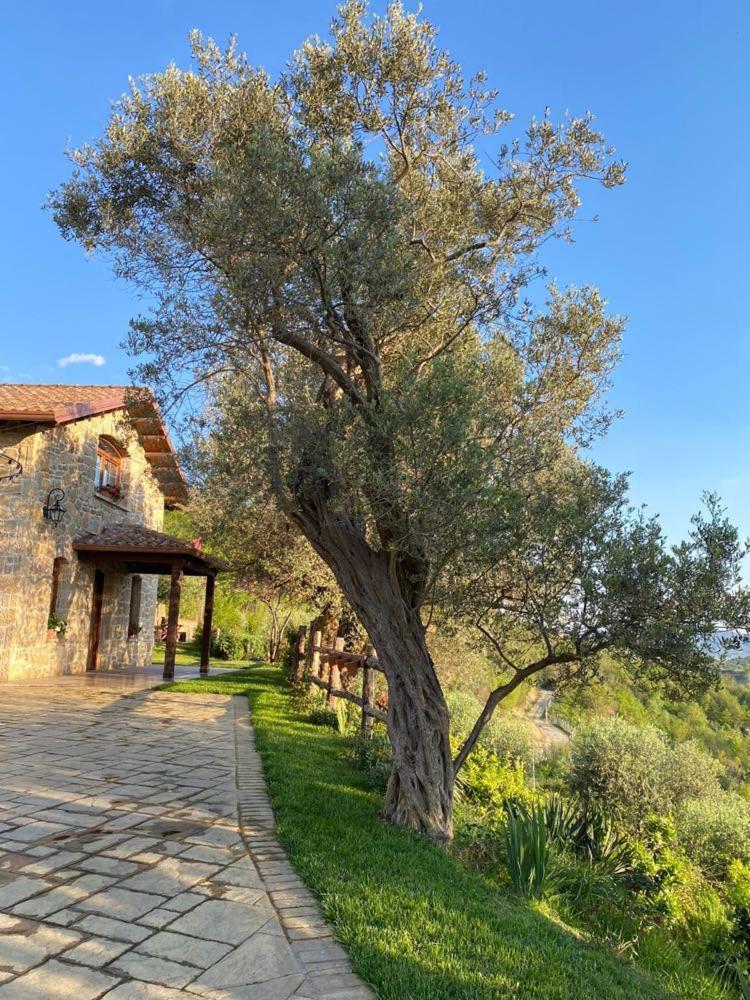 Bujtina Salko Villa Mucaj Dış mekan fotoğraf