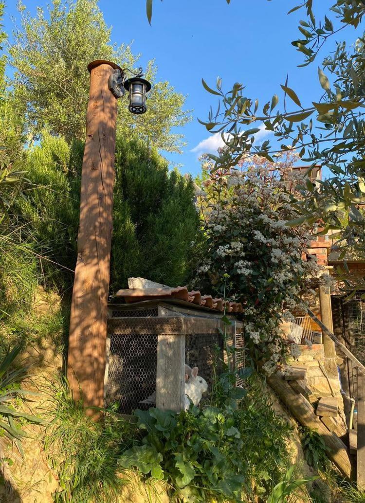 Bujtina Salko Villa Mucaj Dış mekan fotoğraf